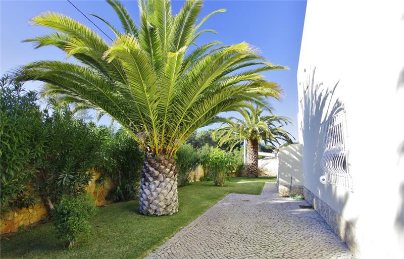 Villa in Vale do Lobo, photograph 17