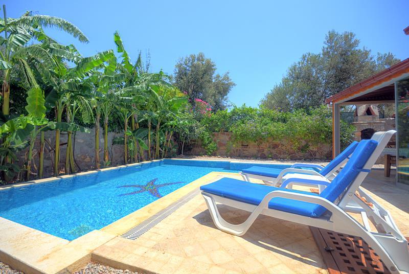 Villa in Bodrum & Bitez, photograph 2