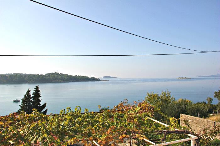 Beachfront villa in Cavtat, photograph 2