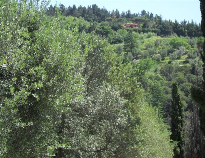 Villa in Umbria, photograph 13