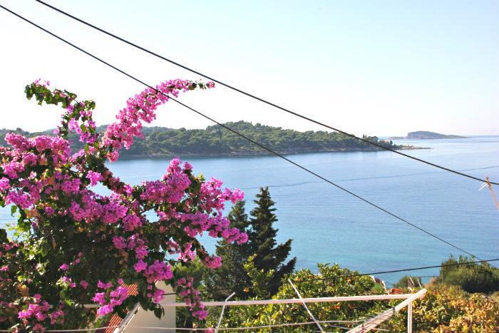 Beachfront villa in Cavtat, photograph 11