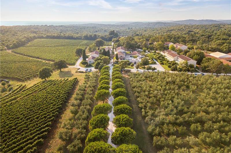 Luxury Villa Estate with 3 Pools on Istrian Vineyards near Bale, sleeps 56-60