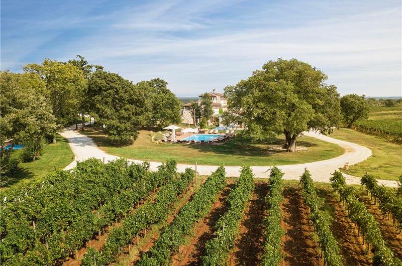 Luxury Villa Estate with 3 Pools on Istrian Vineyards near Bale, sleeps 56-60