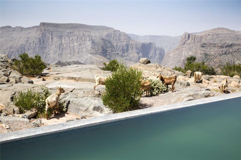 Villa in Nizwa, photograph 19