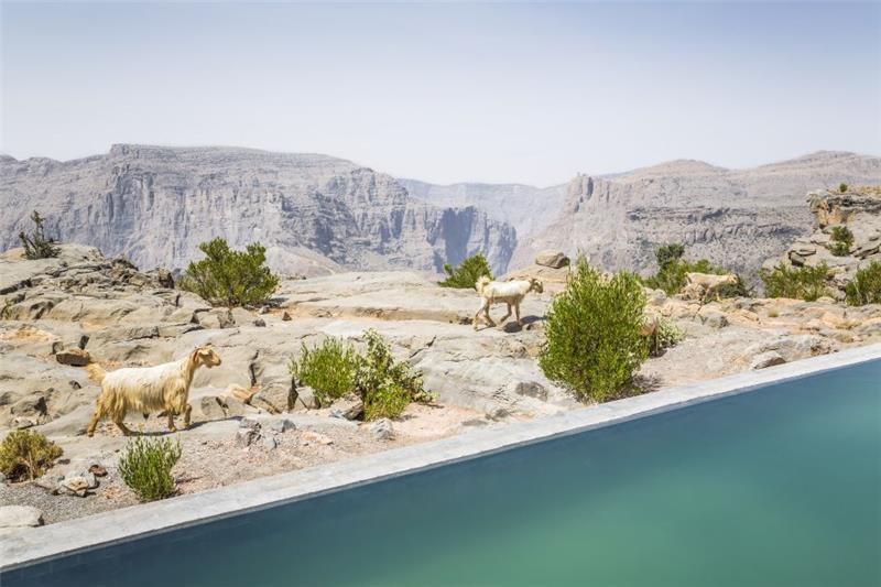 Villa in Nizwa, photograph 14