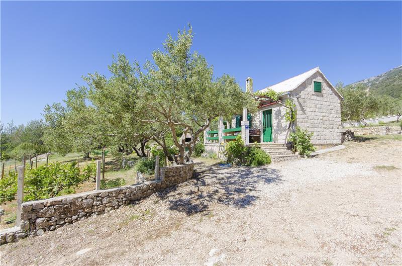Villa in Bol, photograph 19
