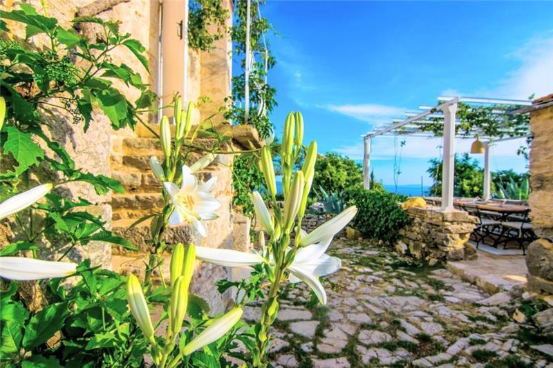 Sea-view villa in Jelsa, photograph 7