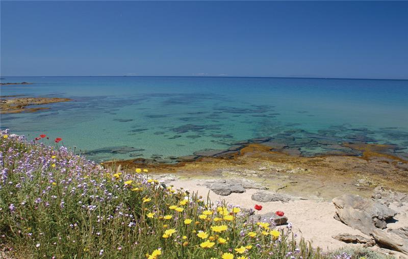 Sea-view villa in Sardinia, photograph 12