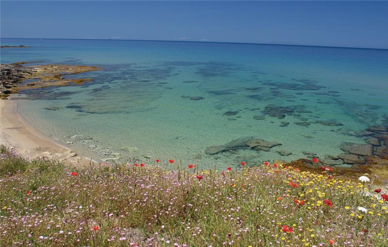 Sea-view villa in Sardinia, photograph 20