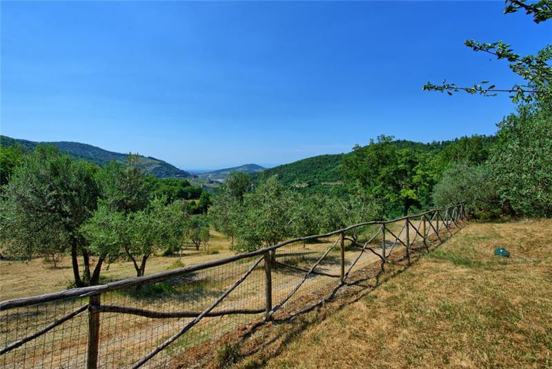 Villa in Tuscany, photograph 17