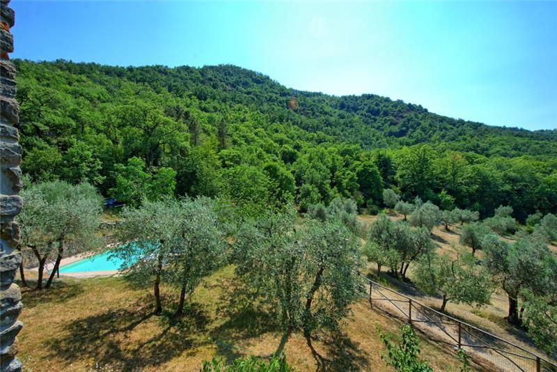 Villa in Tuscany, photograph 23