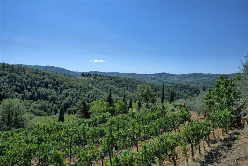 Villa in Tuscany, photograph 19