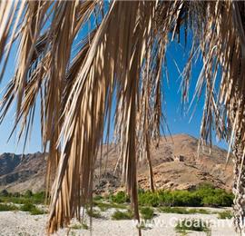 Oman, Jebel Sifah, 4* Boutique Hotel