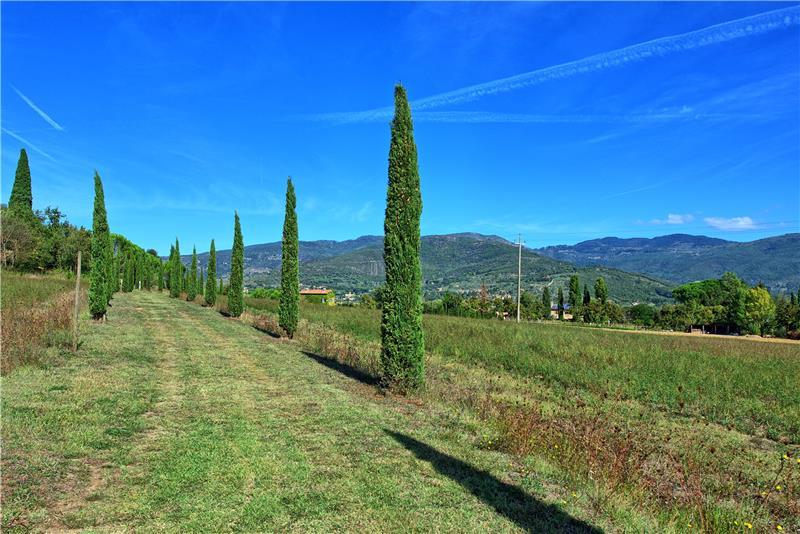 Villa in Tuscany, photograph 25