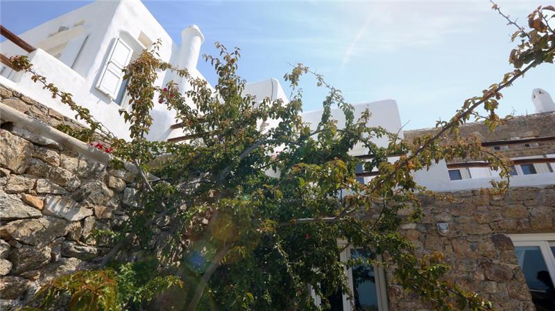 Sea-view villa in Super Paradise, photograph 4