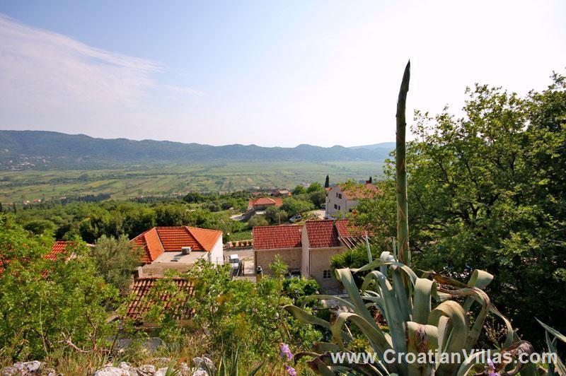 Villa in Konavle, photograph 3