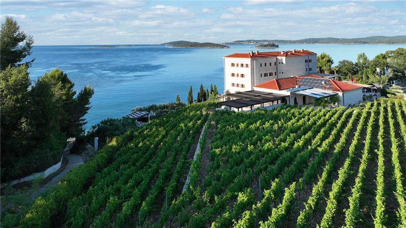 Beachfront villa in Orebic, photograph 3