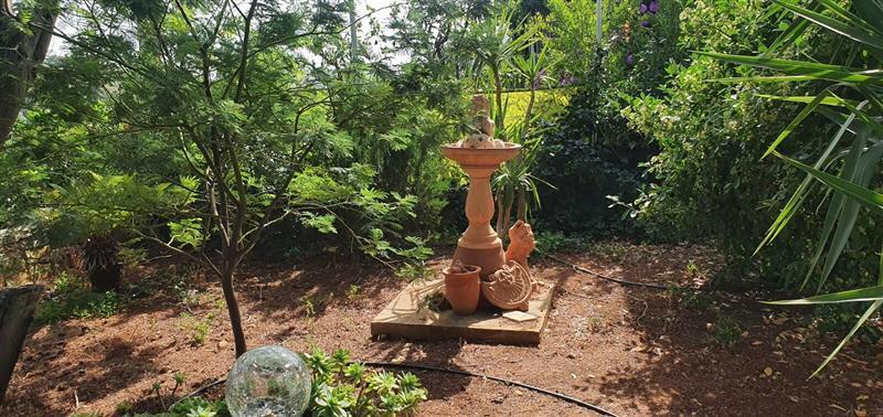 4 bedroom villa with pool in Maslinica, sleeps 8