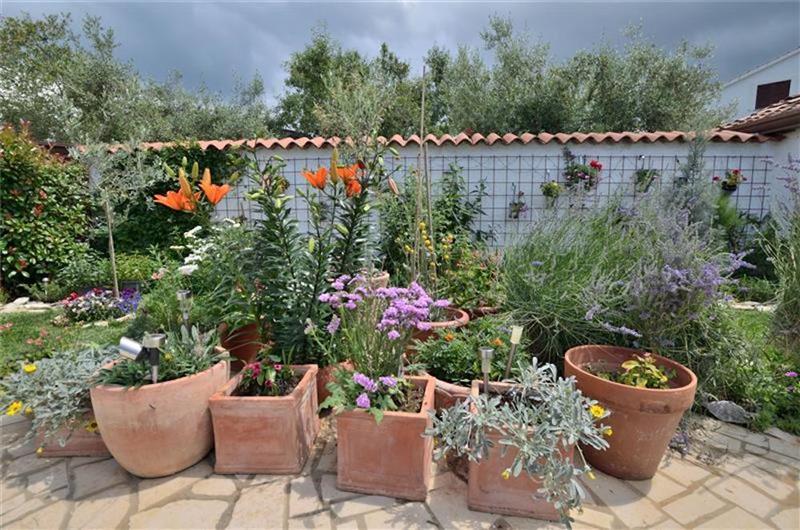 3 bedroom villa with pool near Poreč, sleeps 6