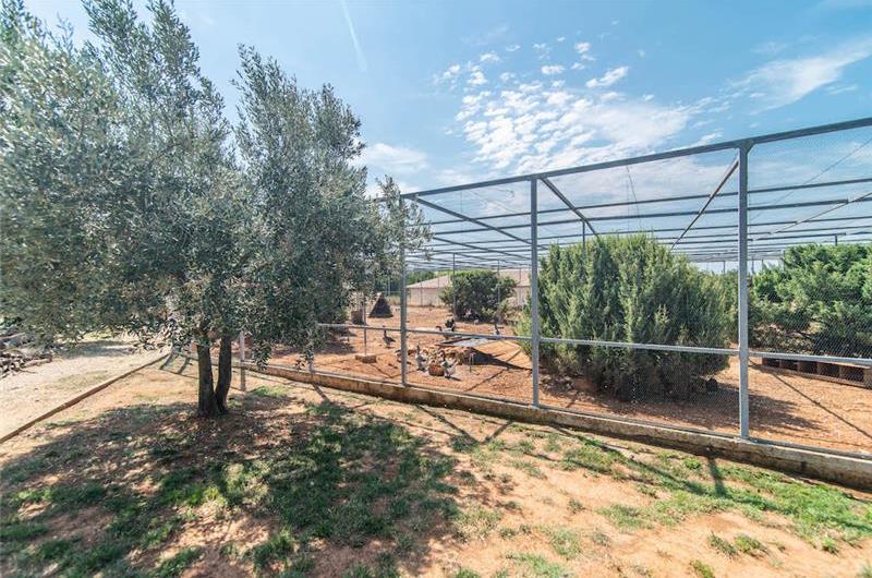4 bedroom villa with pool near Pula, sleeps 8