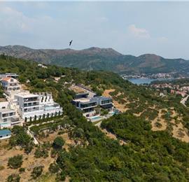 4 bedroom villa with pool and sea view, Orašac, sleeps 8