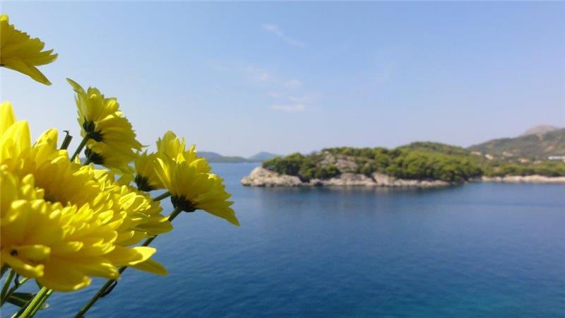 Sea-view villa in Cavtat, photograph 10